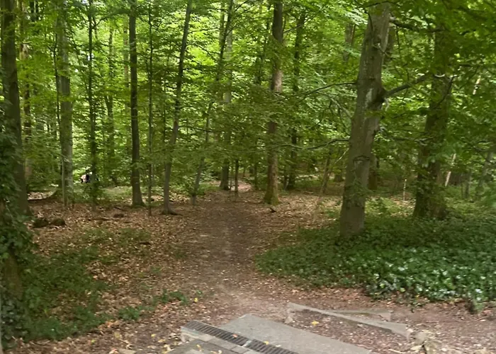 Auszeit Direkt Am Toelleturm -barmer Anlagen *